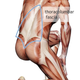 Image for article titled How a Mysterious Body Part Called Fascia Is Challenging Medicine